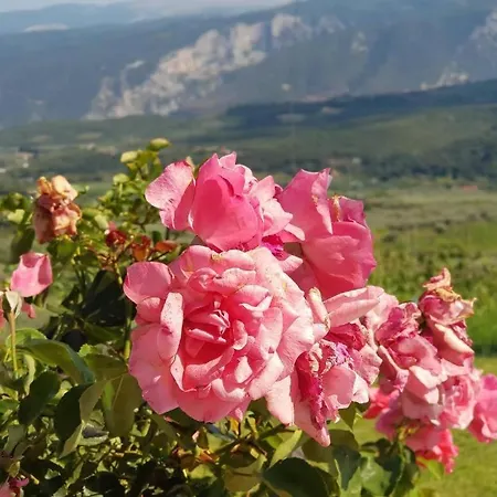 Tatil Evi Farma Tsalta Olympus Larisa *